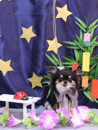 20230715プリンちゃん